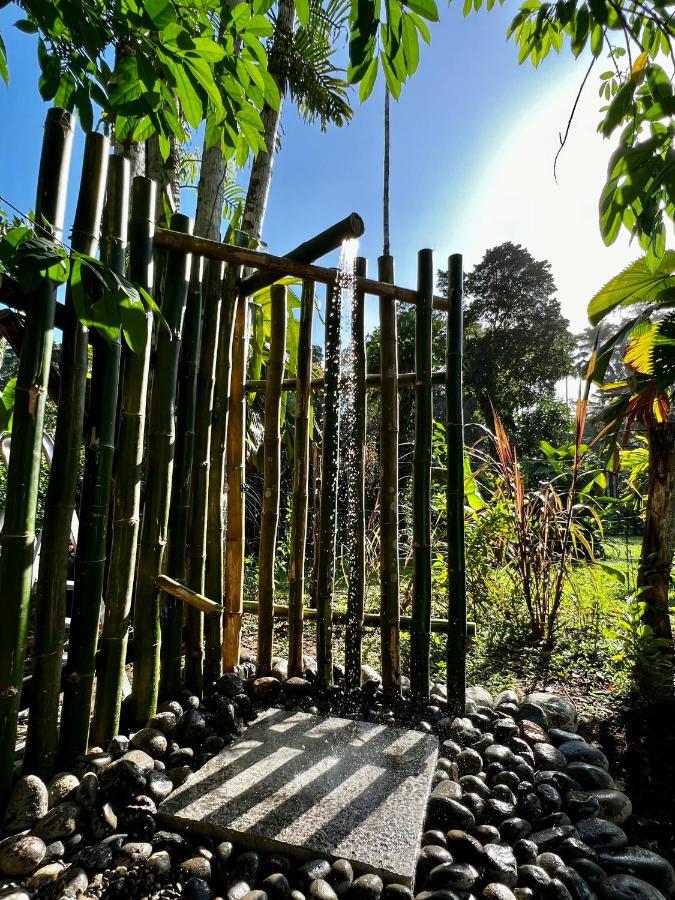 Whispering Wisdom Villa Cahuita Exteriör bild