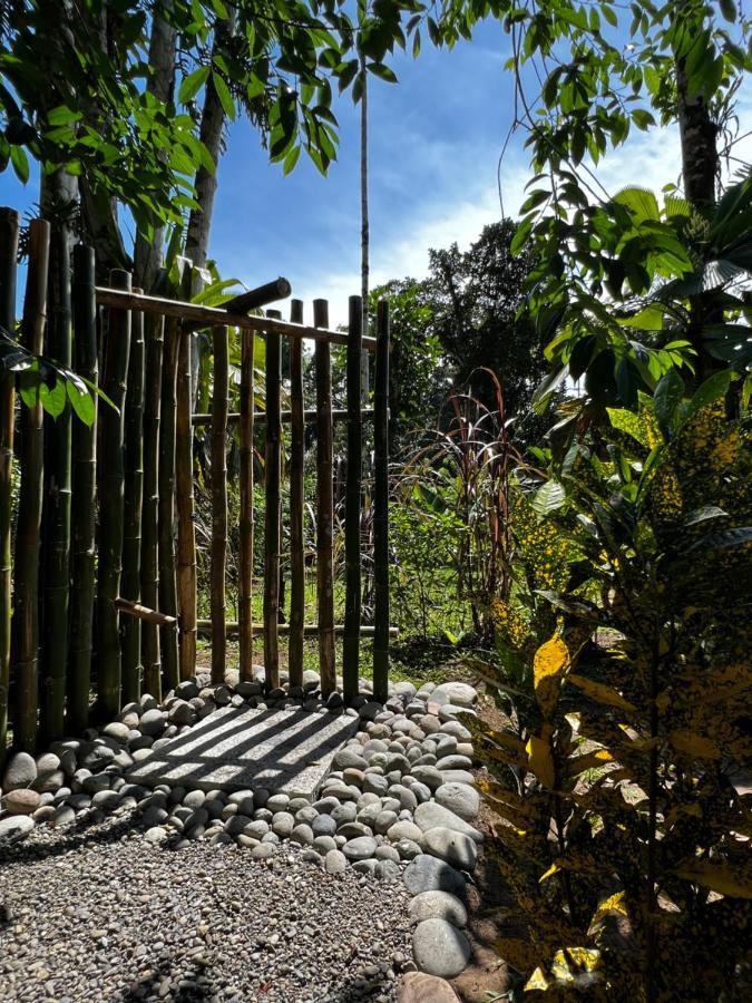 Whispering Wisdom Villa Cahuita Exteriör bild